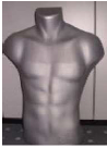 Male Torso Grey
