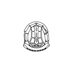 Kids Dynamic-FX Helmet Interior Kids Dynamic-FX Helmet Interior