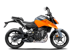 250 DUKE, orange - nHD - B.D.       2025