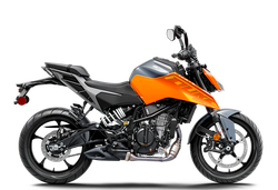 250 DUKE, orange - B.D.             2024
