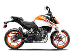 250 DUKE, white - B.D.              2025